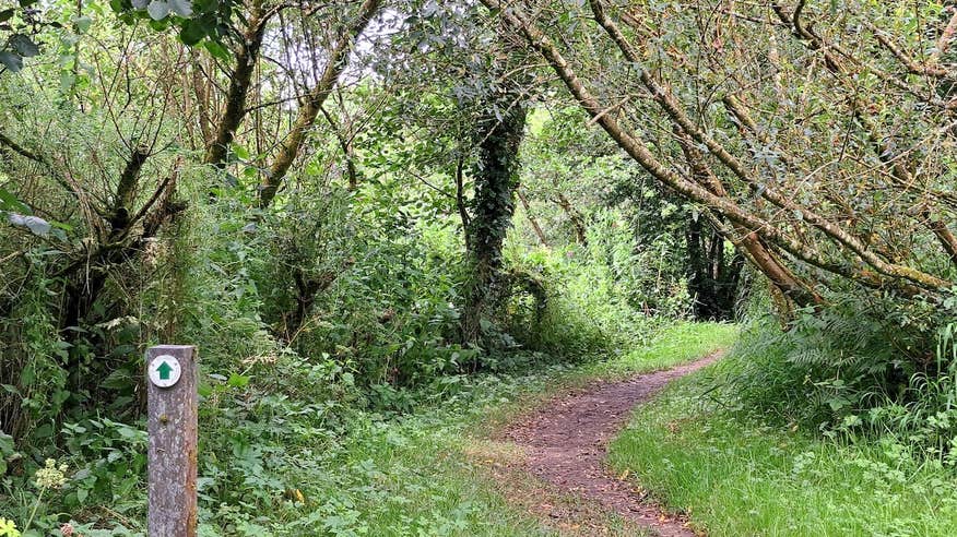 Nore Valley Walk in Co Kilkenny