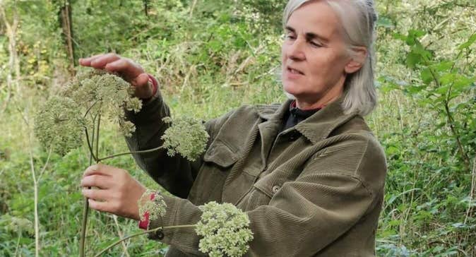 Wild Food Mary