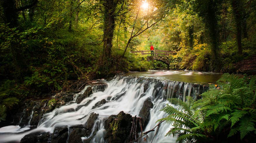 A person on Rabbit Bridge in Dún na Rí Forest Park in County Cavan