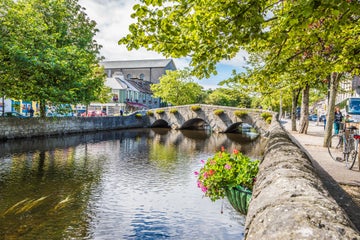 Green trees hanging over a river in Westport Town.