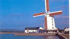 Tralee Farmers Market