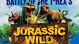 Jurassic Wild, Battle of the T-Rex's poster with 3 large dinosaurs.
