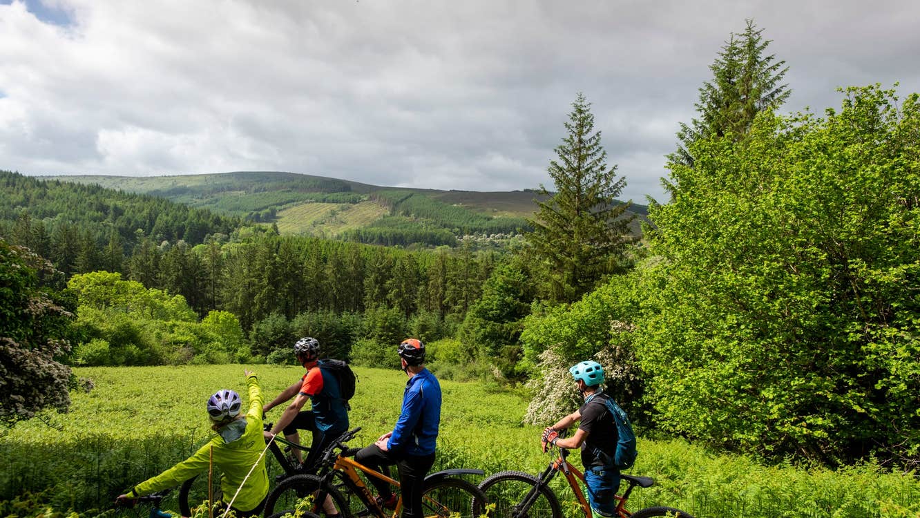 Three mountain bikers on a bike path surrounded by plants and trees