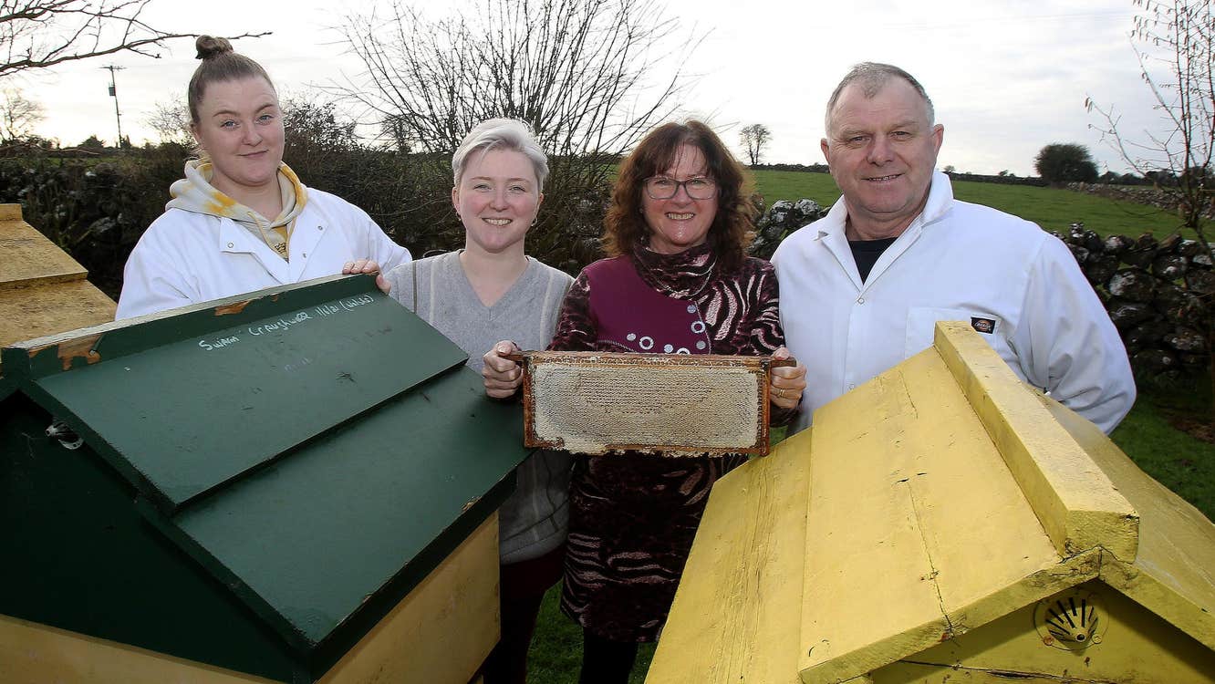 Four people posing for the camera in front of bee hives