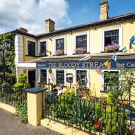 Exterior of a pub with plants along railings in front of the building