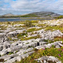 The Burren, County Clare
