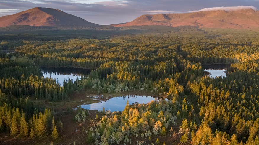 Sunset on mountains, forest and lakes at Wild Nephin Ballycroy National Park, Mayo