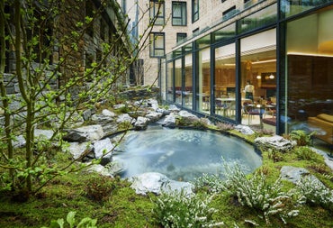 Rock pool in a restaurant courtyard with some greenery around it