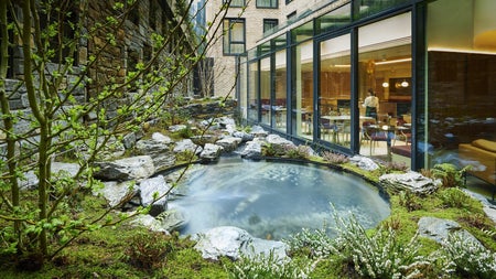 Rock pool in a restaurant courtyard with some greenery around it