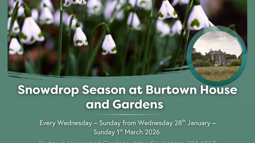 Poster for Snowdrops and Sculpture at Burtown House