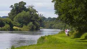 The East Munster Way