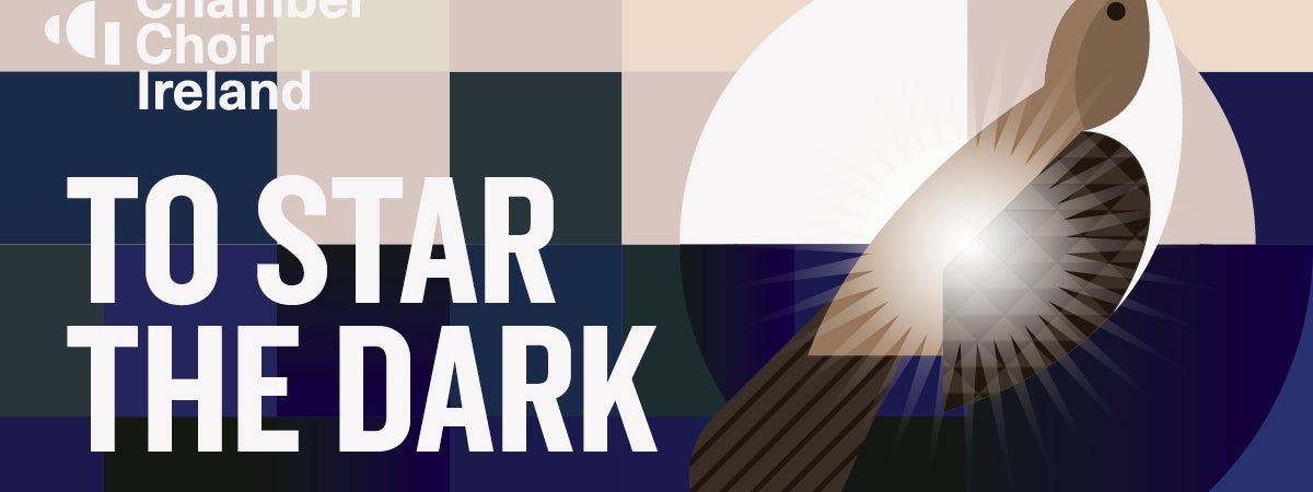 To Star The Dark, Chamber Choir Ireland