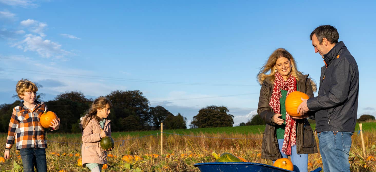 A family at the pumpkin patch in Fordstown in County Meath