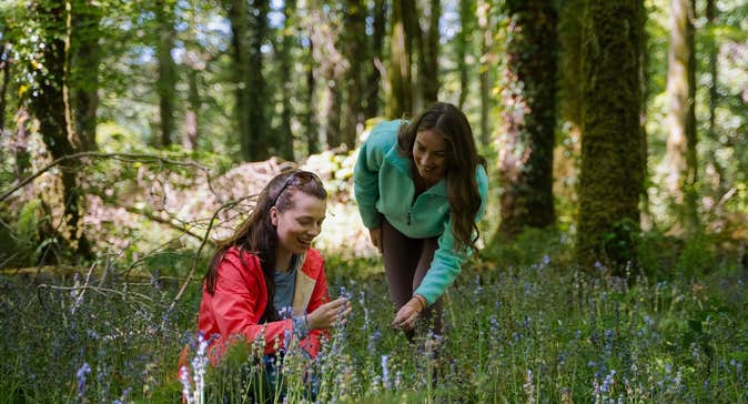 Women in Hazelwood Forest in Co Sligo