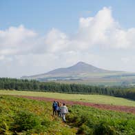 The horizon of a mountain behind a field in Wicklow.