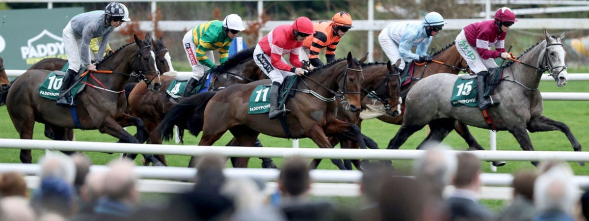 Close up of a horse race at Leopardstown