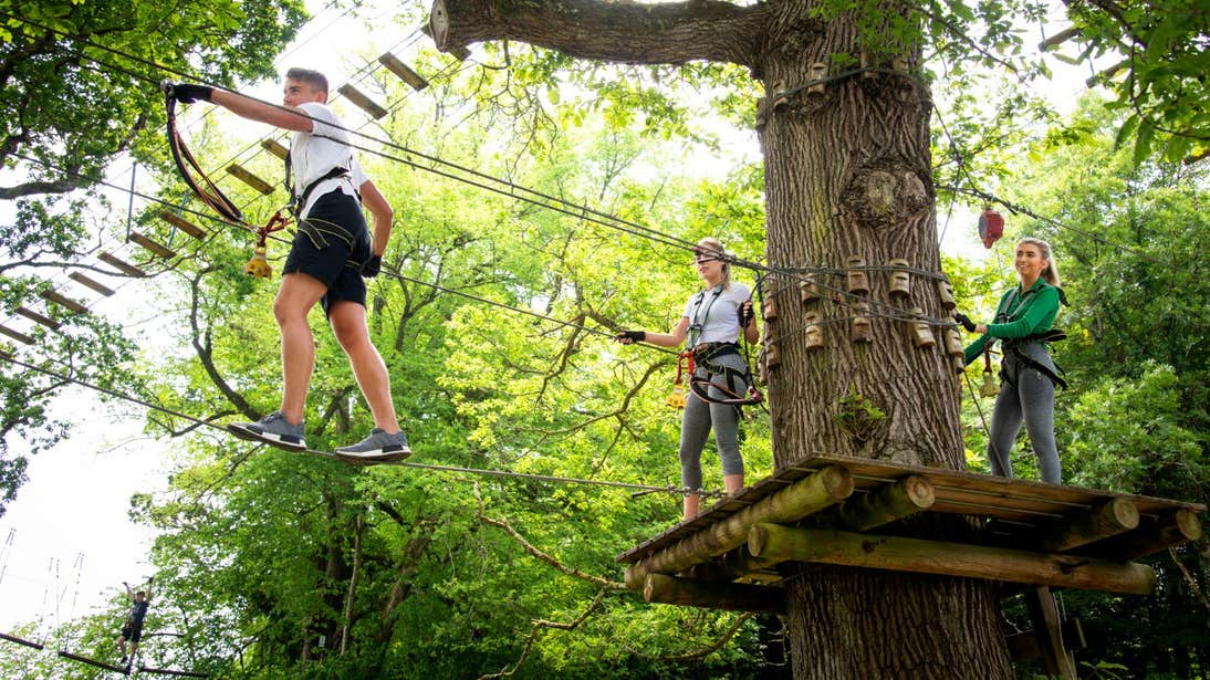 People wearing safety gear walking across ropes at Lough Key Forest and Activity Park, Roscommon