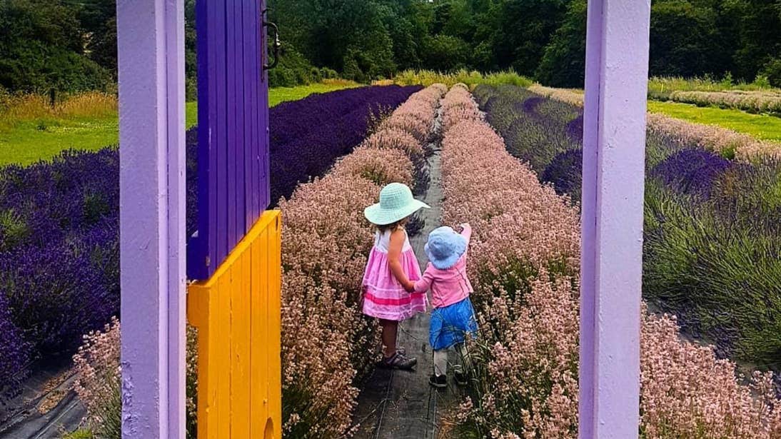 Two little girls looking out in front of a doorway at Wexford Lavender Farm