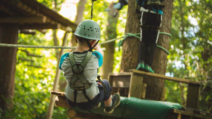 Ziplining in the forest