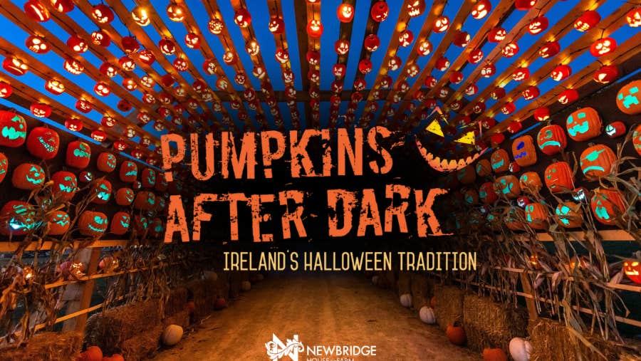 Pumpkins After Dark at Newbridge House and Farm - Ireland's Newest Halloween Experience