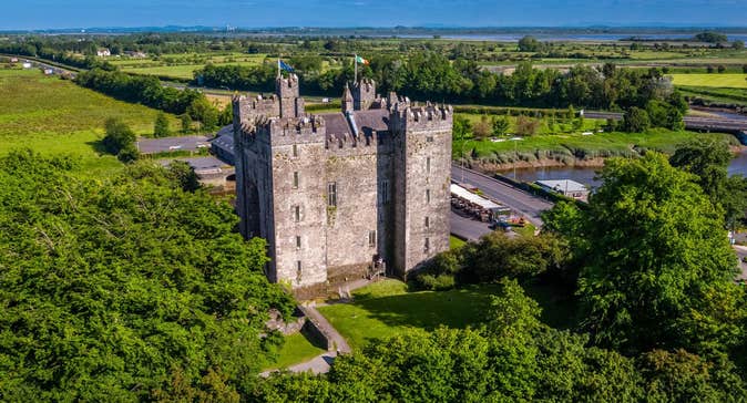An aerial view of a castle surrounded by trees