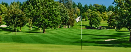 A view of the holes and greens at St Margaret's Golf and Country Club