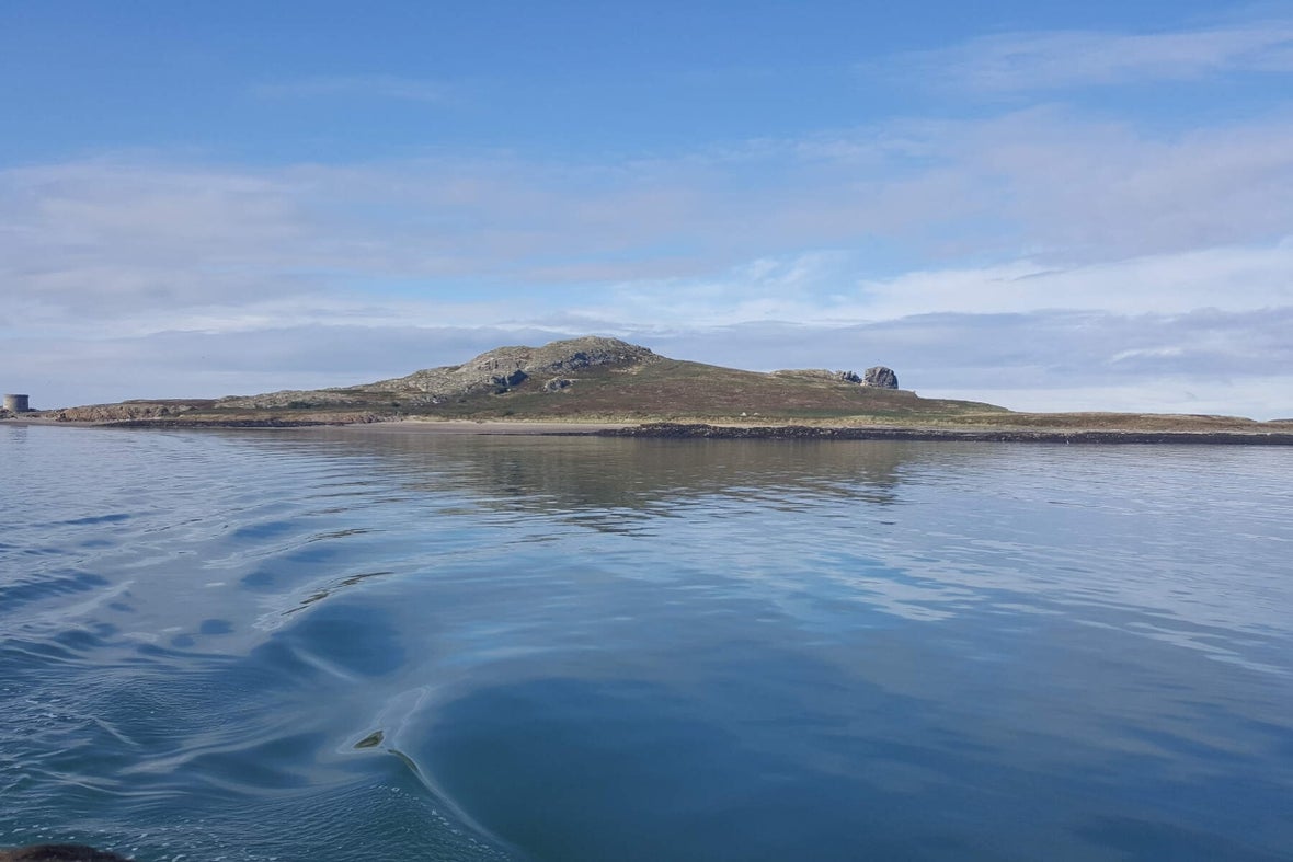 Ireland's Eye Ferries, Co Dublin