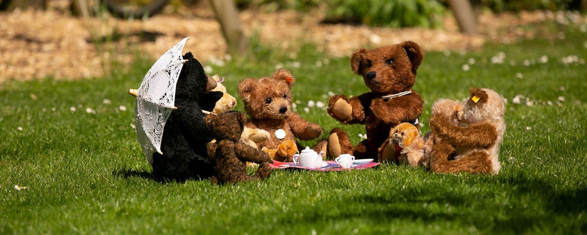 An assortment of bears sitting on the grass having a teddy bears picnic