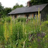 The Herb School cottage in the countryside with tall wild plants around it