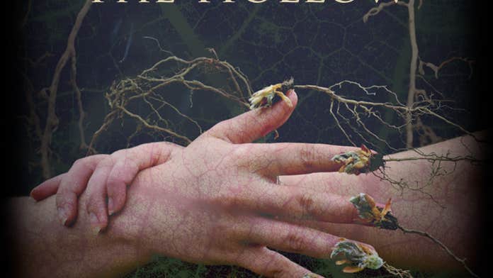 Cures from the Hollow book cover