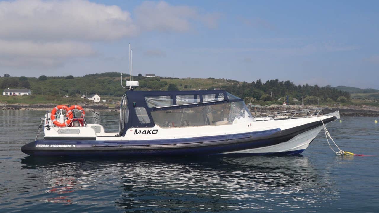 Blue and white passenger rib on anchor at sea