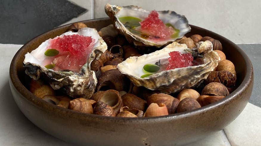 Oysters served on a dish of seashells.