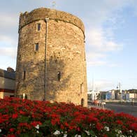 Flowers in a bed outside the exterior of Reginald's Tower in Waterford