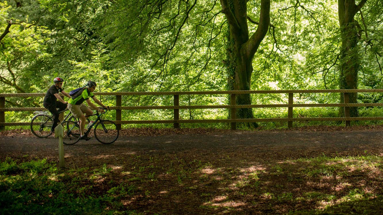 Cyclists on the Limerick Greenway, County Limerick