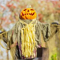 Scarecrow in the gardens scaring away the spirits