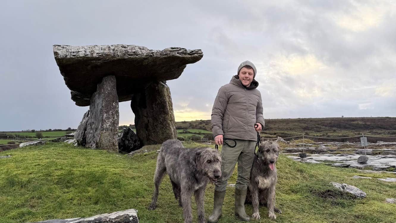 Two Irish wolfhounds standing with their guide at Poulnabrone Dolmen