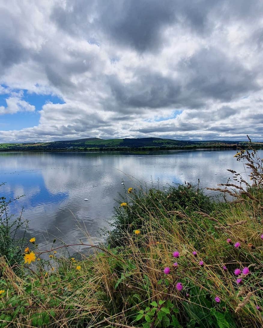 Inch Wildfowl National Park