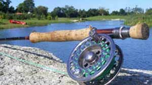 Southern County fishing image