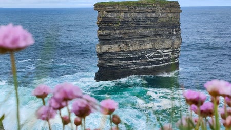 Cliffside view of a sea stack and pink flowers with Anam Croí Ireland Tours