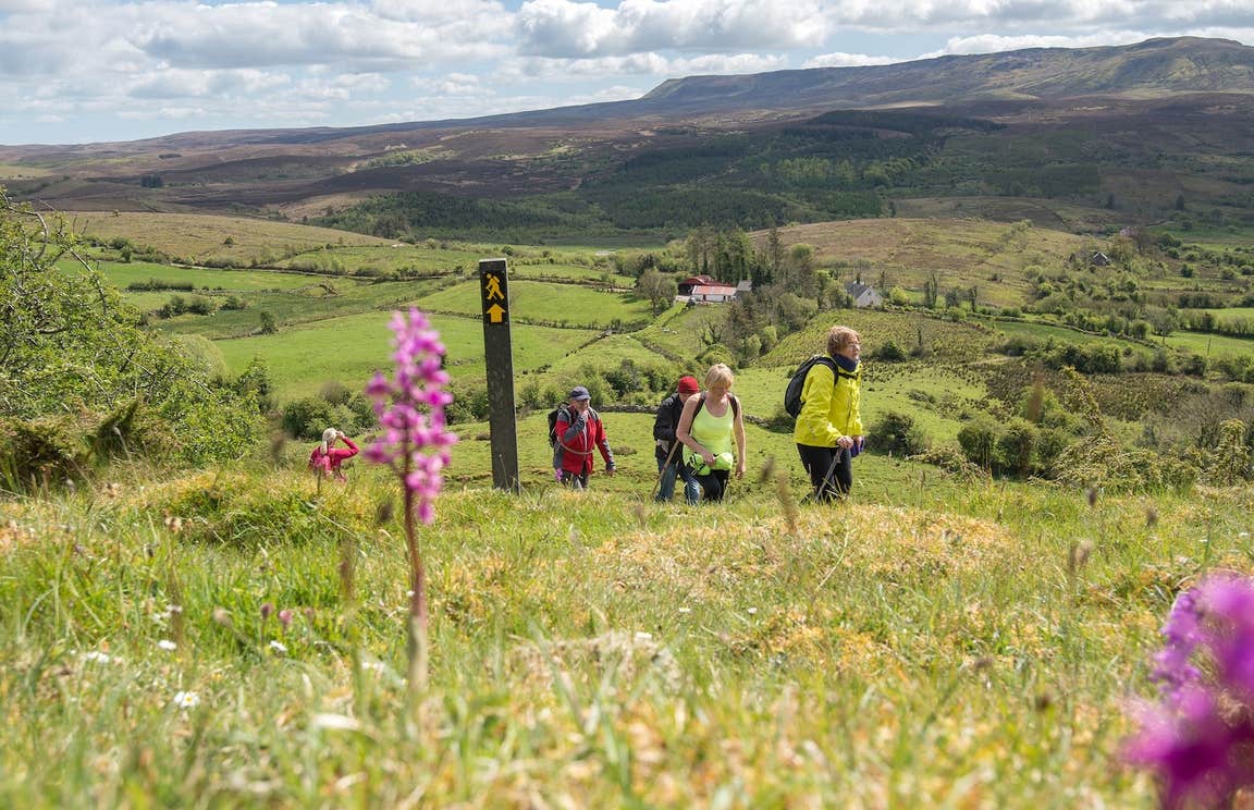 Hikers on the Beara Breifne Way, Co Cavan
