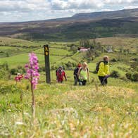 Hikers on the Beara Breifne Way, Co Cavan
