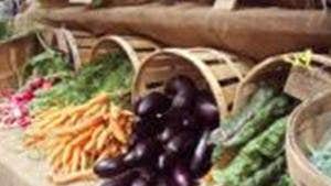 Galway Farmers Market