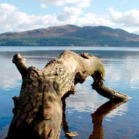 Hazelwood Forest in County Sligo