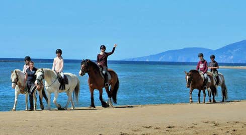Island View Riding Stables