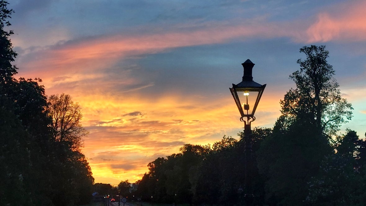 Gas lamps in Phoenix Park at sunset