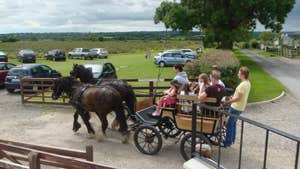 Red Mountain Open Farm