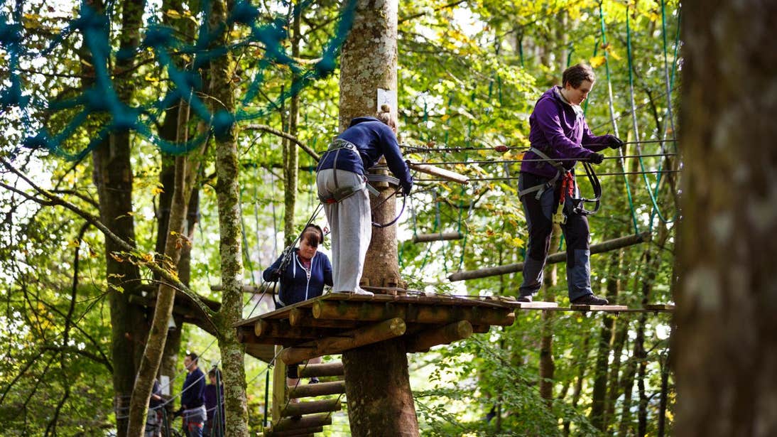 People using zip lines at Lough Key Forest Park, Roscommon