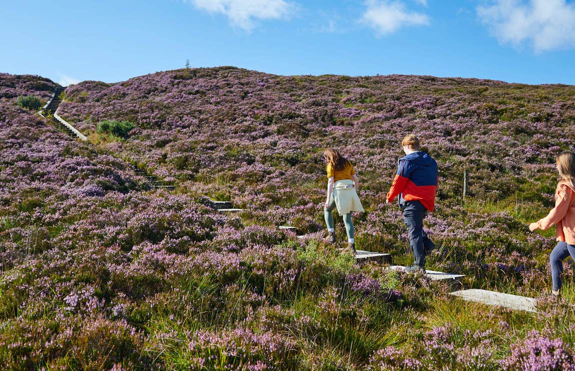 Friends ascending a path among flowers at the Ridge of Capard.