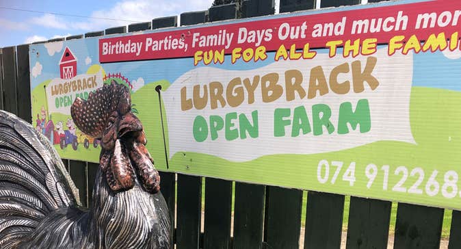 A sculpture of a rooster at the entrance sign for Lurgybrack Open Farm at Letterkenny