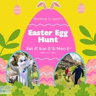 A family favourite hunt around the Celtic Gardens for little ones and around the Suntrail for bigger ones.